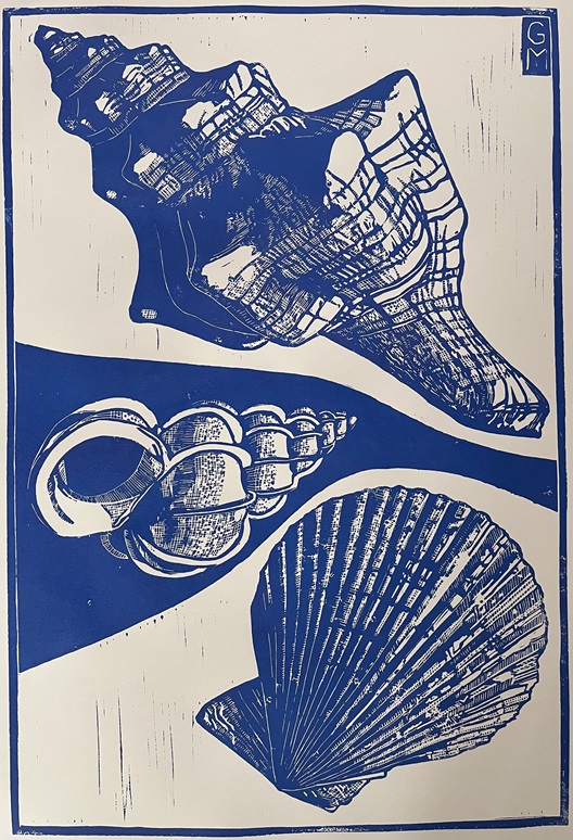 Fox shell wentletrap scallop