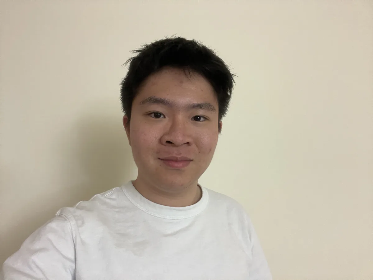 Portrait of Zhang Jiang